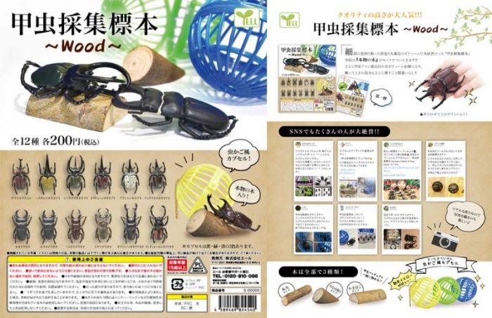 買動漫 奇蹟 蛋 預約05月yell 轉蛋 甲蟲採集標本 Wood篇全12種整套販售