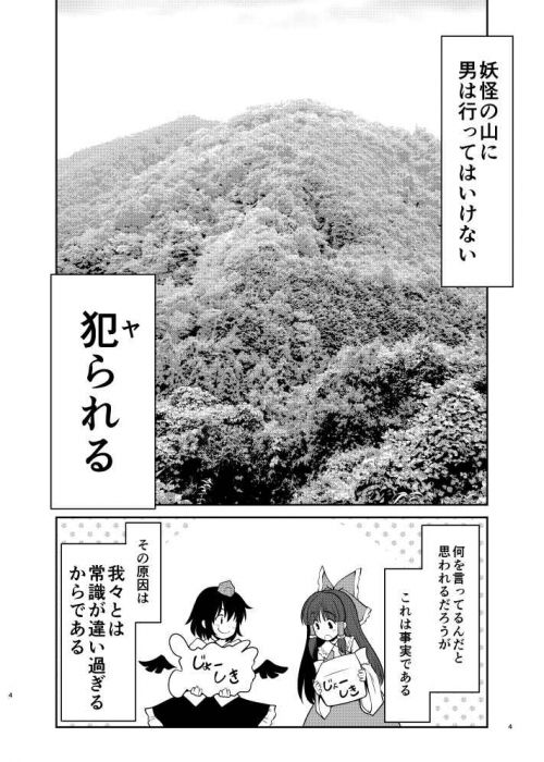 買動漫 訂購代購屋同人誌東方project 濡れる妖怪の山ともきと世捨人な漫画描き射命丸文姫海棠はた 虎之穴melonbooks 駿河屋cq Web