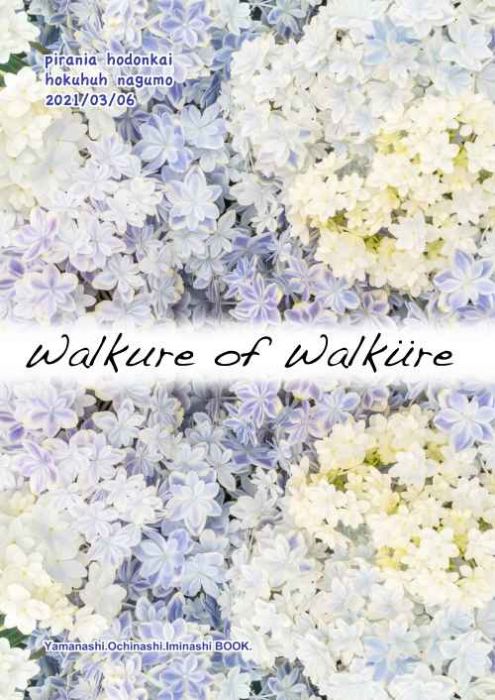 買動漫 Mu S 同人誌代購 北風南雲 ピラニア保存会 Walkure Of Walkure 超時空要塞系列